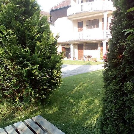 Guest House Aleksandra Bajina Basta Kültér fotó