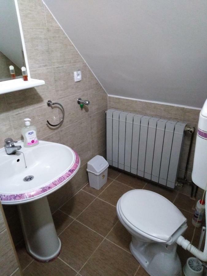 Guest House Aleksandra Bajina Basta Kültér fotó
